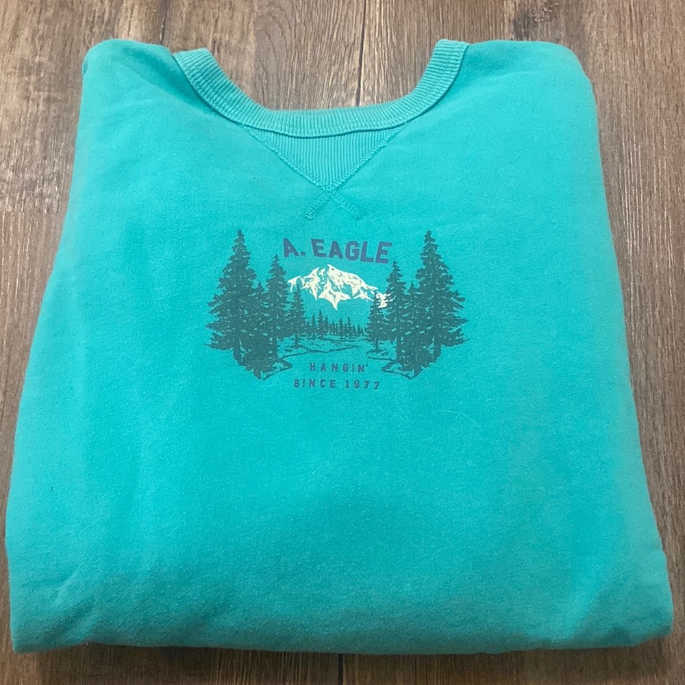 american eagle over sized boyfriend crewneck